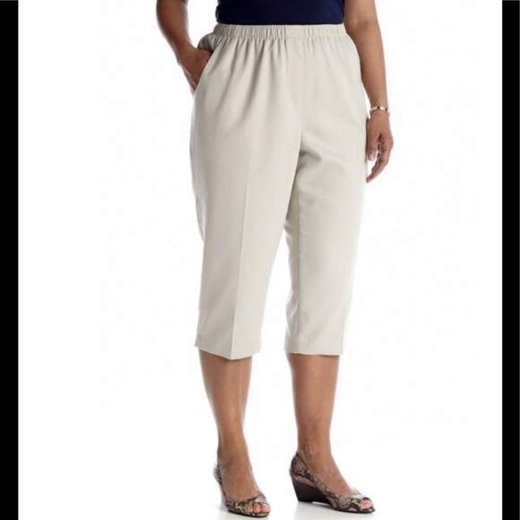 Kim Rogers Pull On Stretch Capri (NWT) - Picture 1 of 6